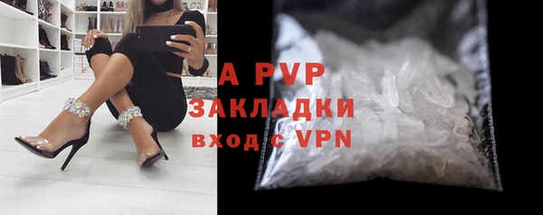 эйфоретик Богданович