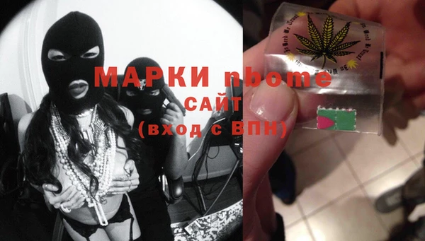 хмурый Богородск