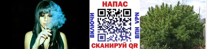 Канабис план  Маркс 